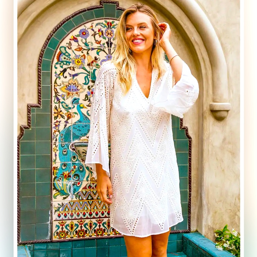 Lavender Brown Embroidered Sheer Bell Sleeve Mini Dress - Bone (White) - Size M